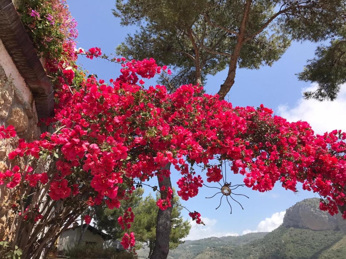 Villaggio Turistico Da Tonino Seglia San Bernardo Екстериор снимка